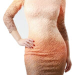 Fiery Orange Lace Cocktail Dress - Long Sleeve Elegance